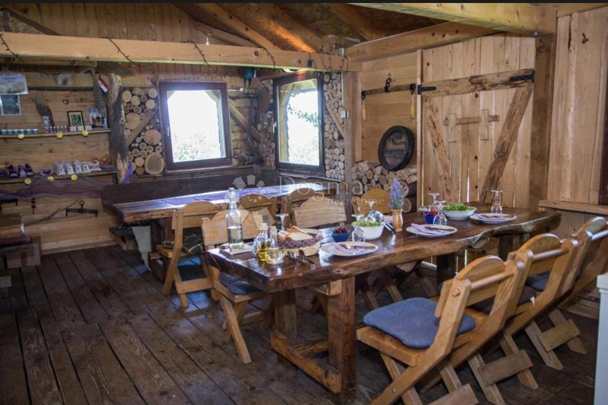 Hiša Lipovac, Rakovica, 350m2