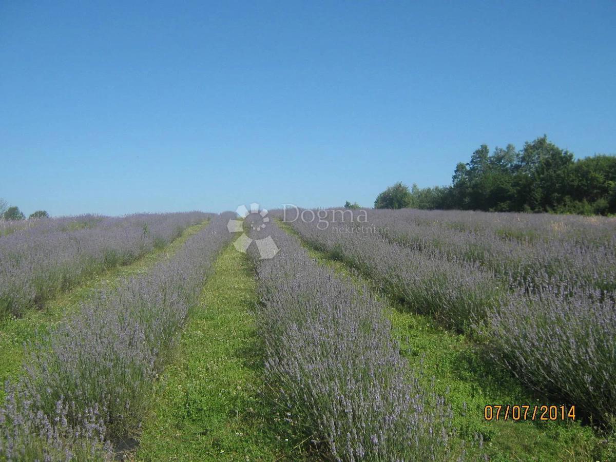 Hiša Lipovac, Rakovica, 350m2