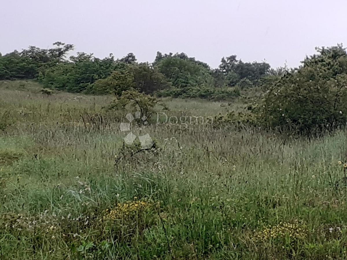 Zemljišče Vidulini, Žminj, 3.021m2