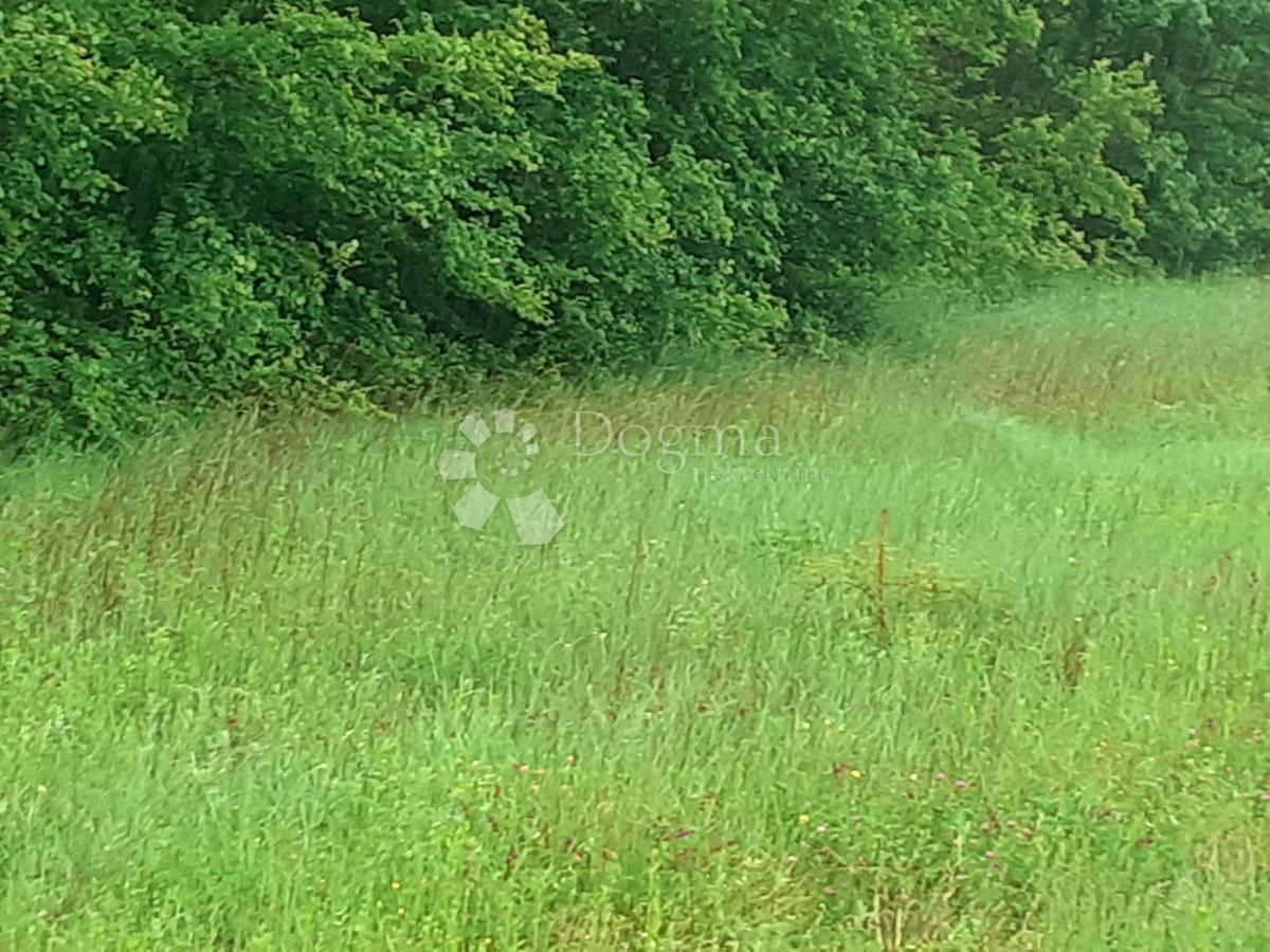 Zemljišče Vidulini, Žminj, 3.021m2