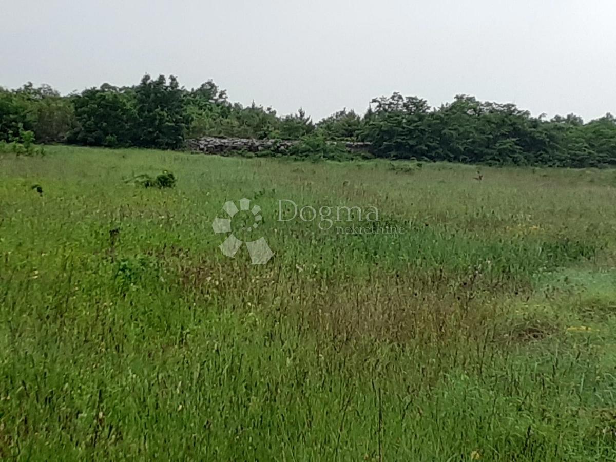 Zemljišče Vidulini, Žminj, 3.021m2