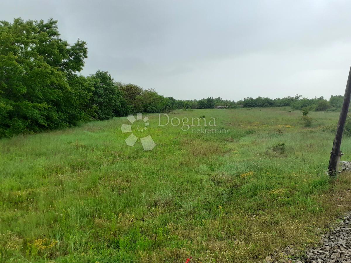 Zemljišče Vidulini, Žminj, 3.021m2