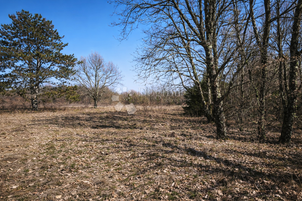 Kmetijsko zemljišče Šumber, Sveta Nedelja, 3.085m2