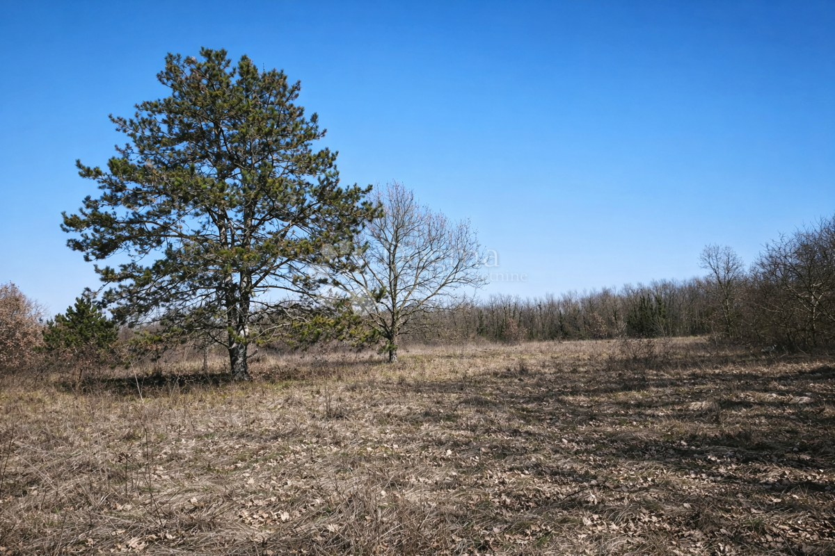Kmetijsko zemljišče Šumber, Sveta Nedelja, 3.085m2