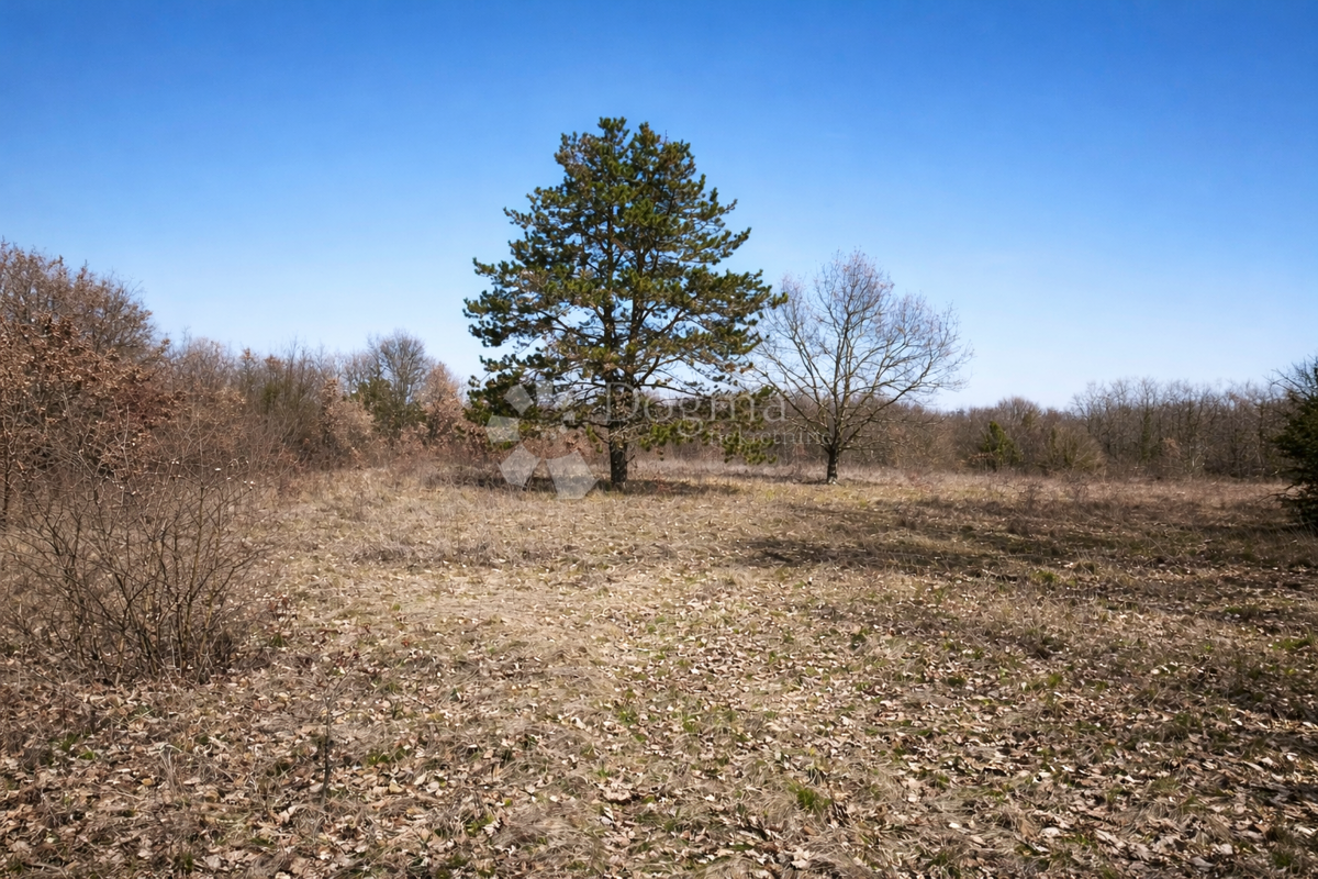 Kmetijsko zemljišče Šumber, Sveta Nedelja, 3.085m2