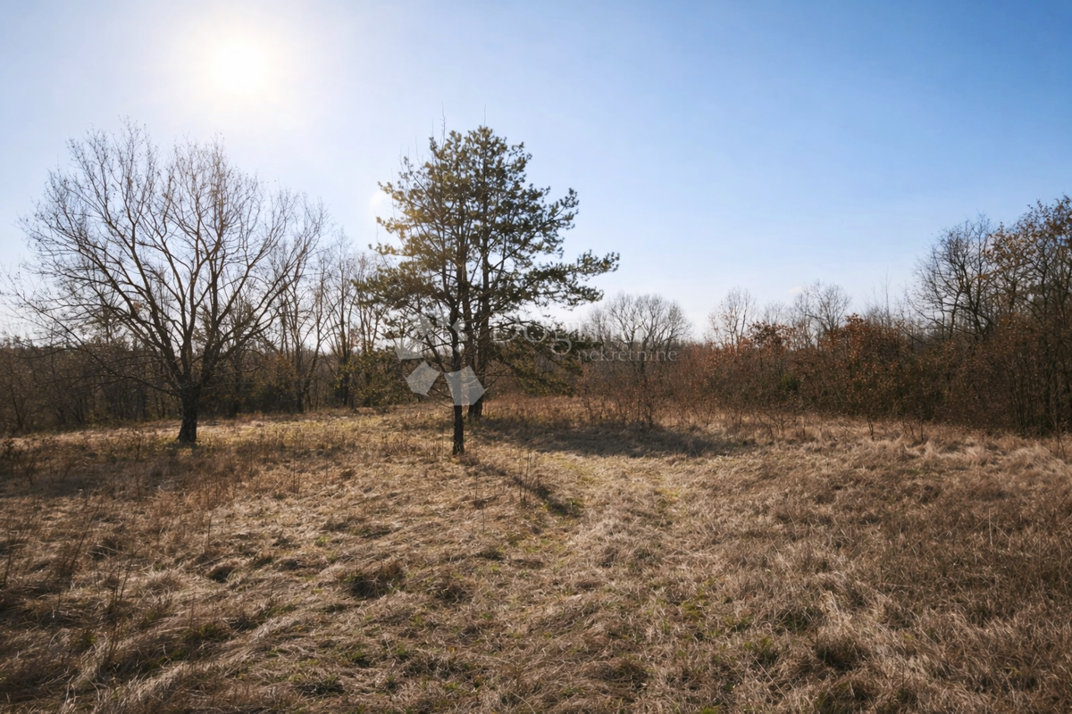 Kmetijsko zemljišče Šumber, Sveta Nedelja, 3.085m2