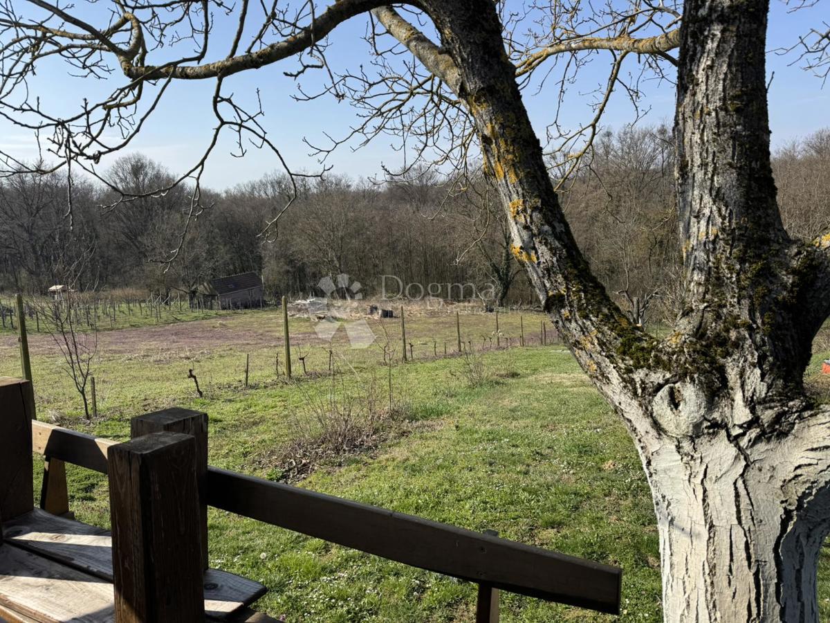 Hiša Kobasičari, Kapela, 124m2