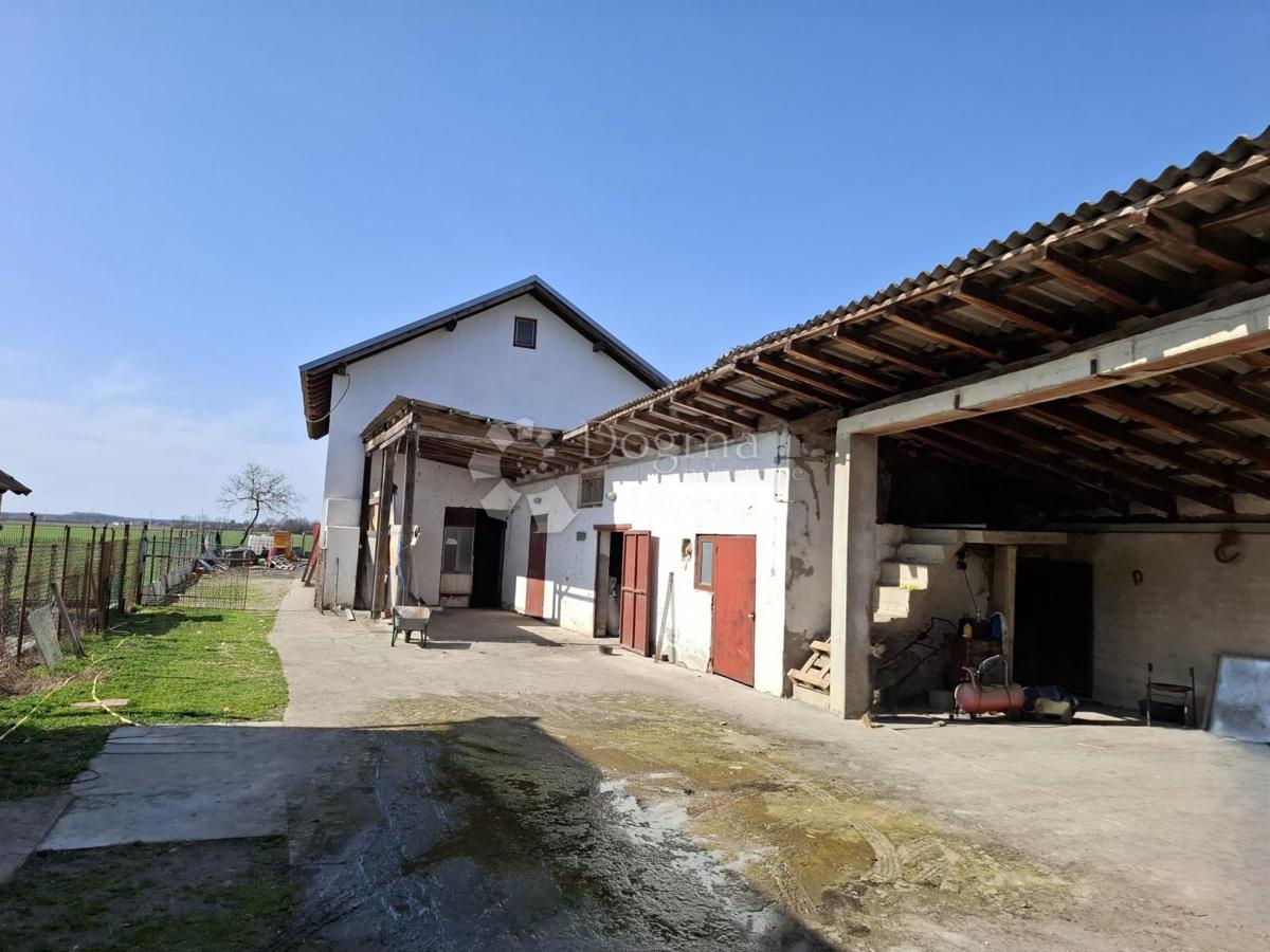 Hiša Bizovac, 226m2