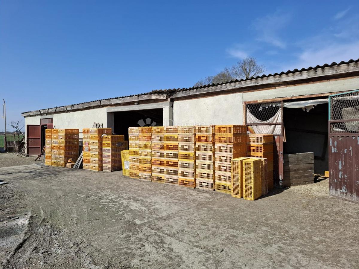 Hiša Bizovac, 226m2