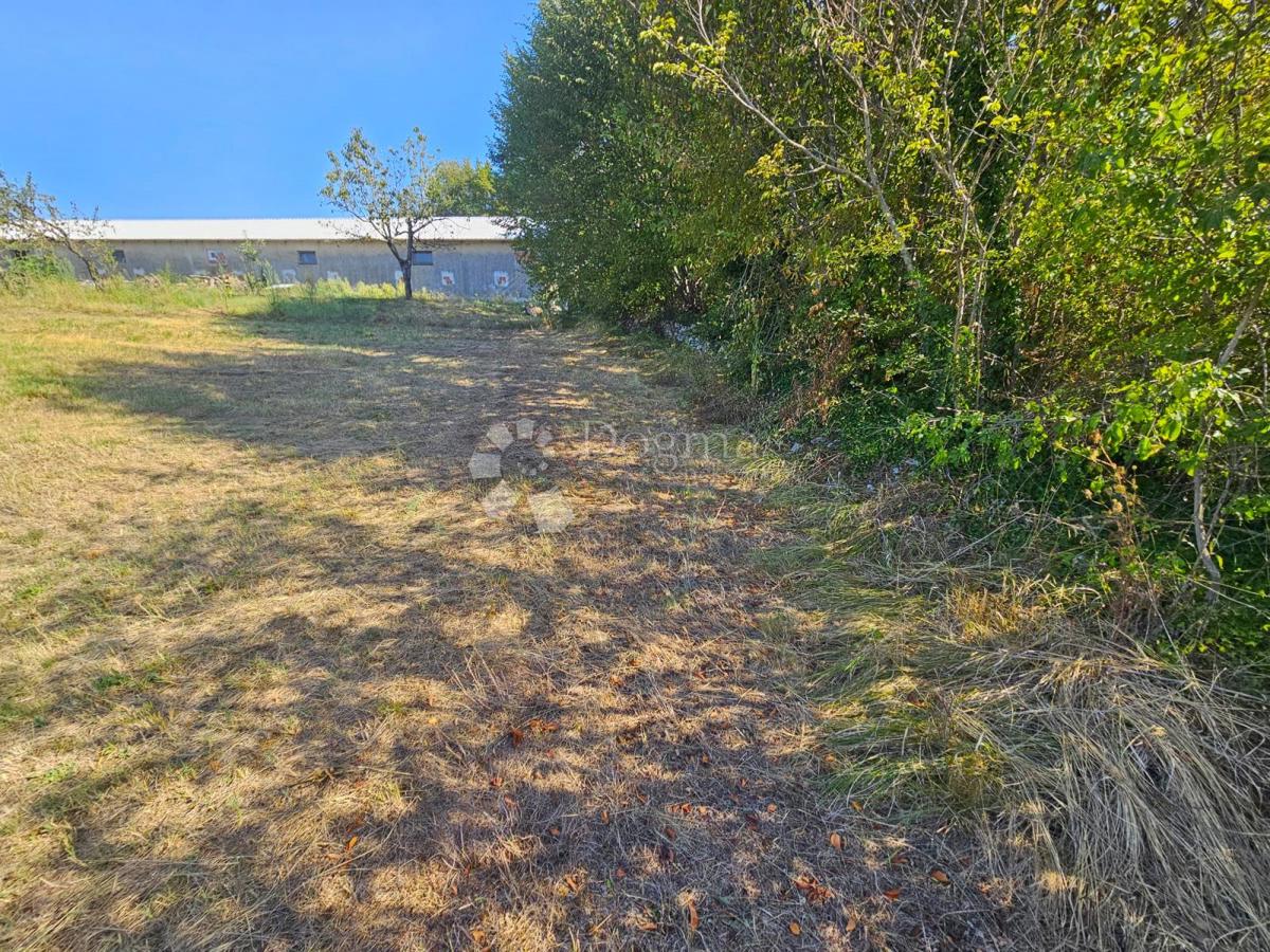 Zemljišče Žminj, 6.046m2