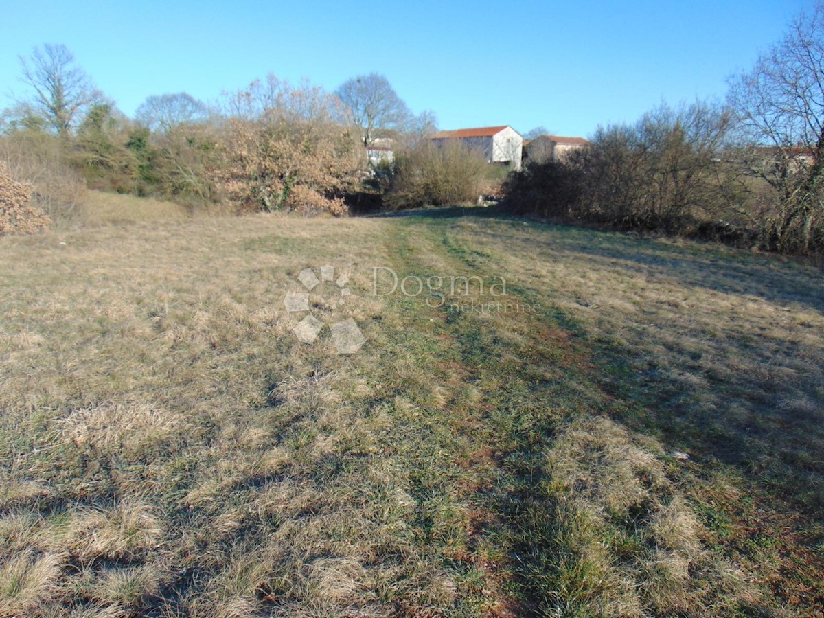 Zemljišče Lindar, Pazin - Okolica, 5.961m2