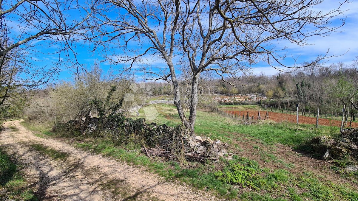 Zemljišče Završje, Grožnjan, 1.730m2