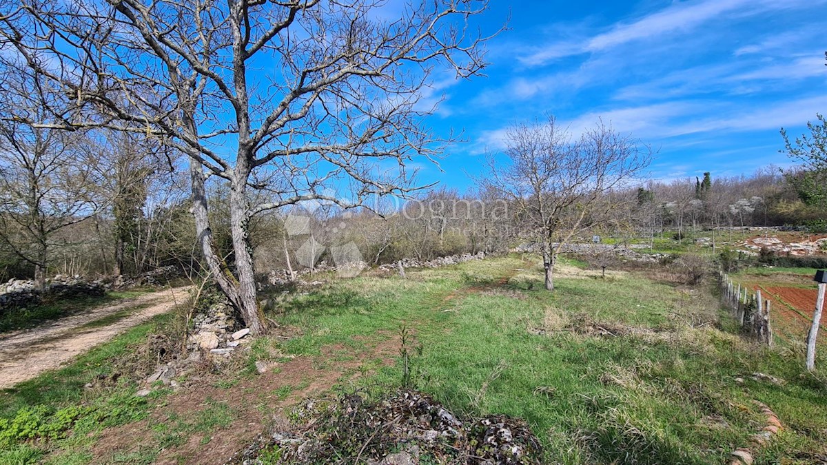 Zemljišče Završje, Grožnjan, 1.730m2