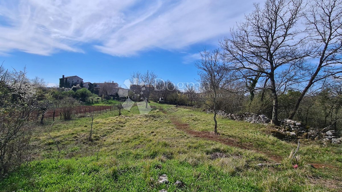 Zemljišče Završje, Grožnjan, 1.730m2
