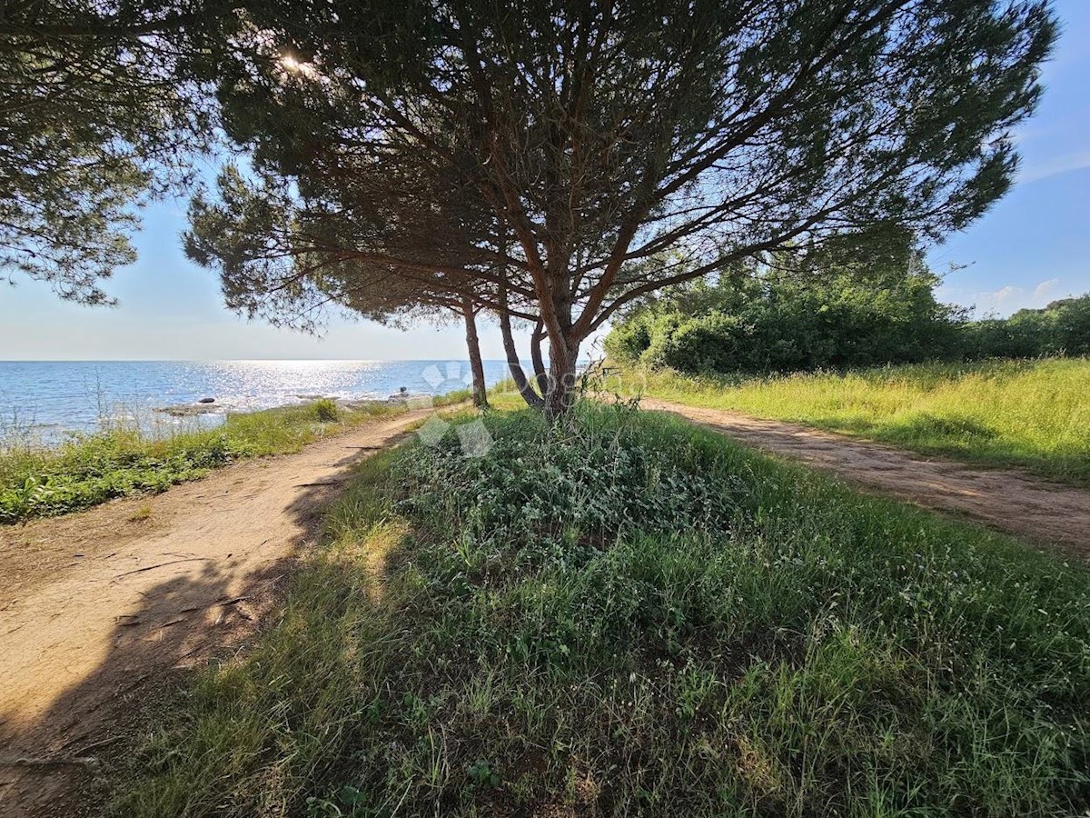 Zemljišče Zambratija, Umag, 9.000m2
