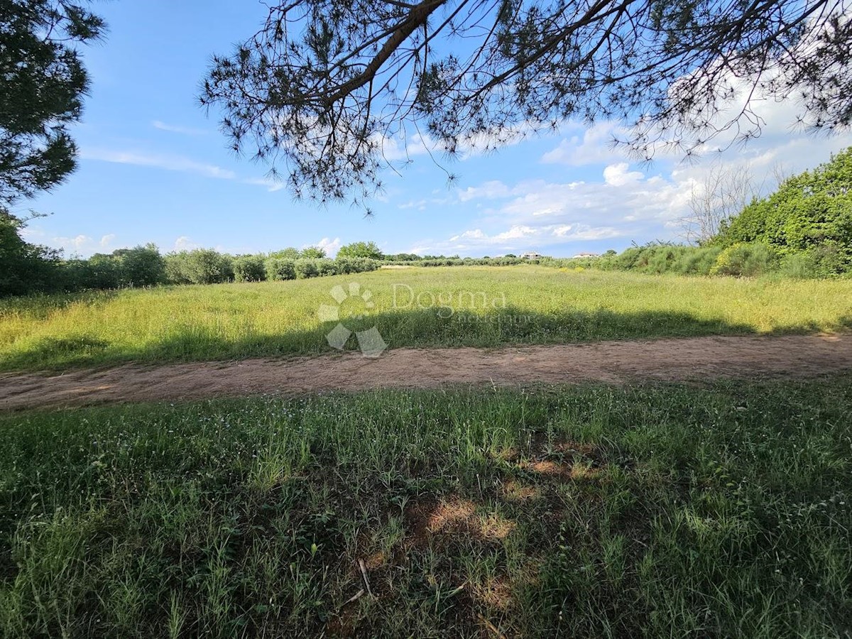 Zemljišče Zambratija, Umag, 9.000m2