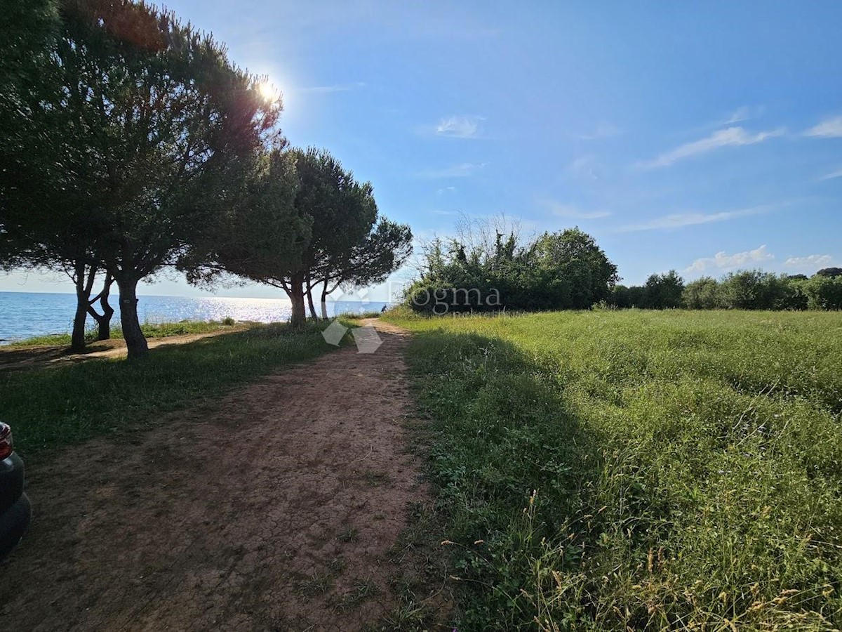 Zemljišče Zambratija, Umag, 9.000m2