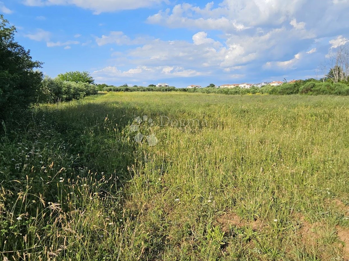 Zemljišče Zambratija, Umag, 9.000m2