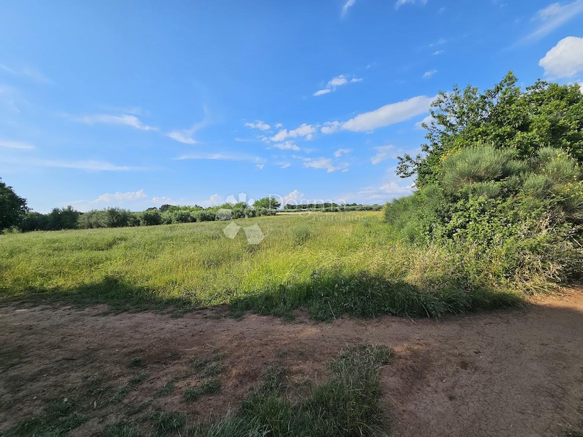 Zemljišče Zambratija, Umag, 9.000m2