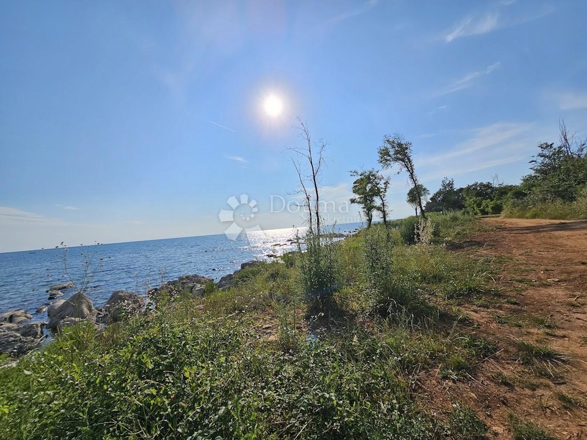 Zemljišče Zambratija, Umag, 9.000m2