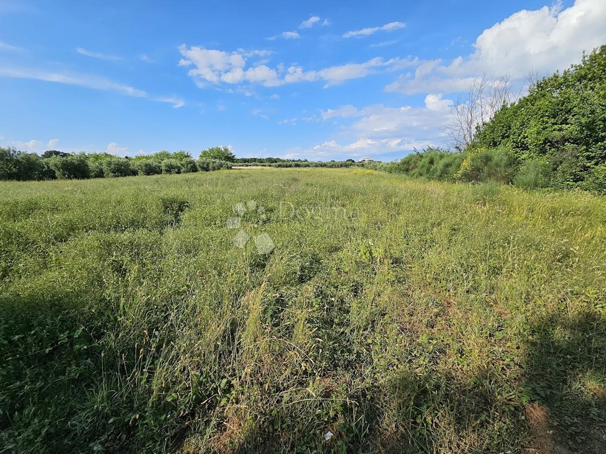 Zemljišče Zambratija, Umag, 9.000m2