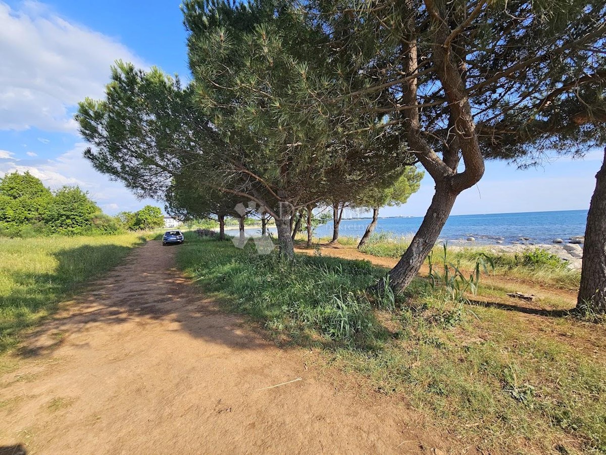 Zemljišče Zambratija, Umag, 9.000m2