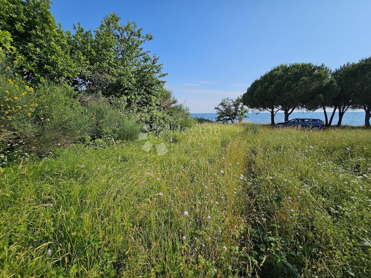 Zemljišče Zambratija, Umag, 9.000m2