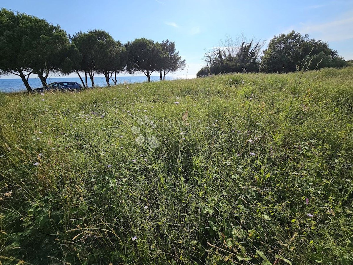 Zemljišče Zambratija, Umag, 9.000m2