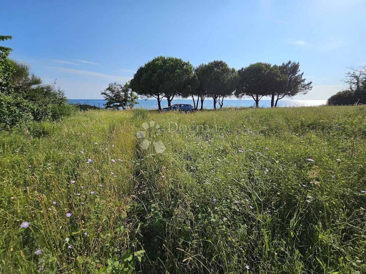 Zemljišče Zambratija, Umag, 9.000m2