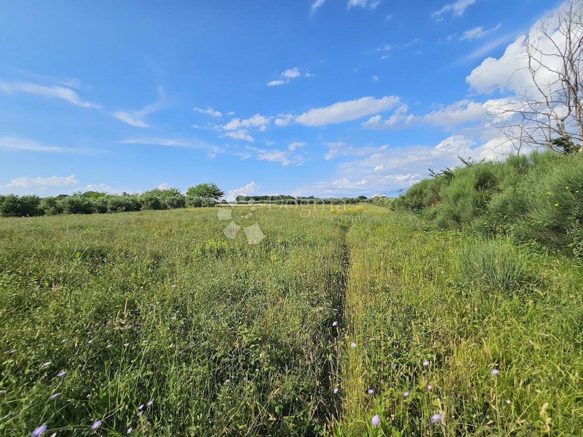 Zemljišče Zambratija, Umag, 9.000m2