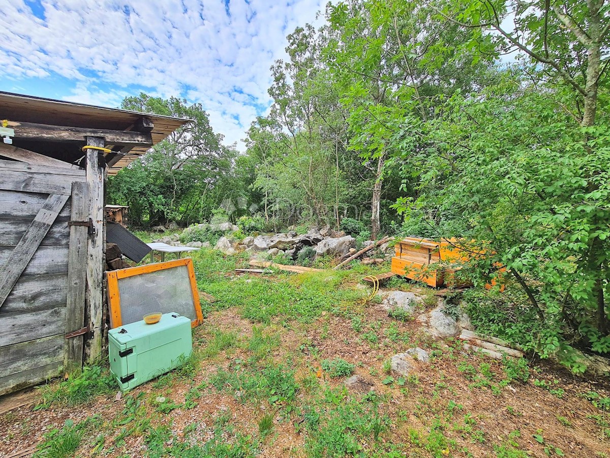 Hiša Hum, Buzet, 400m2