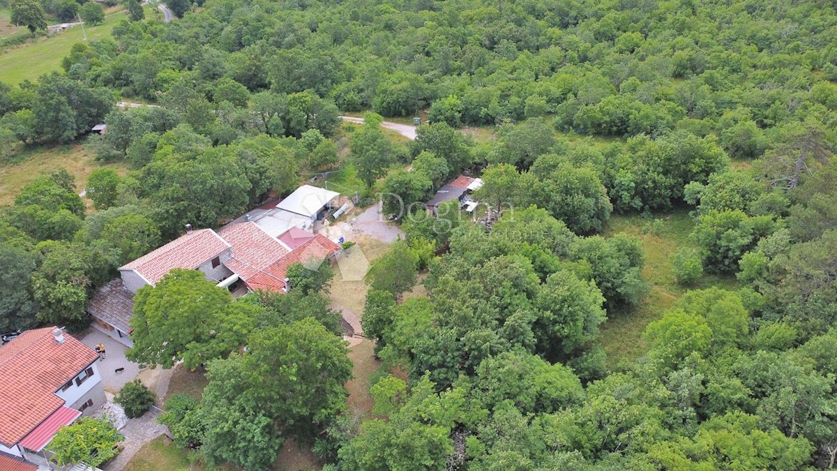 Hiša Hum, Buzet, 400m2