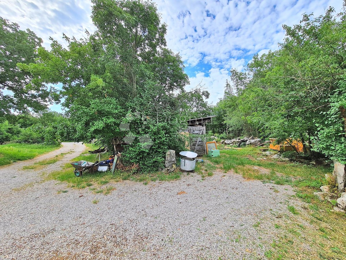 Hiša Hum, Buzet, 400m2