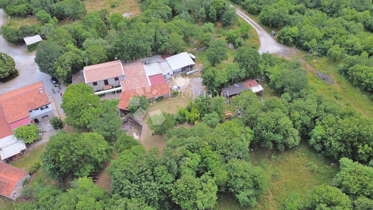 Hiša Hum, Buzet, 400m2