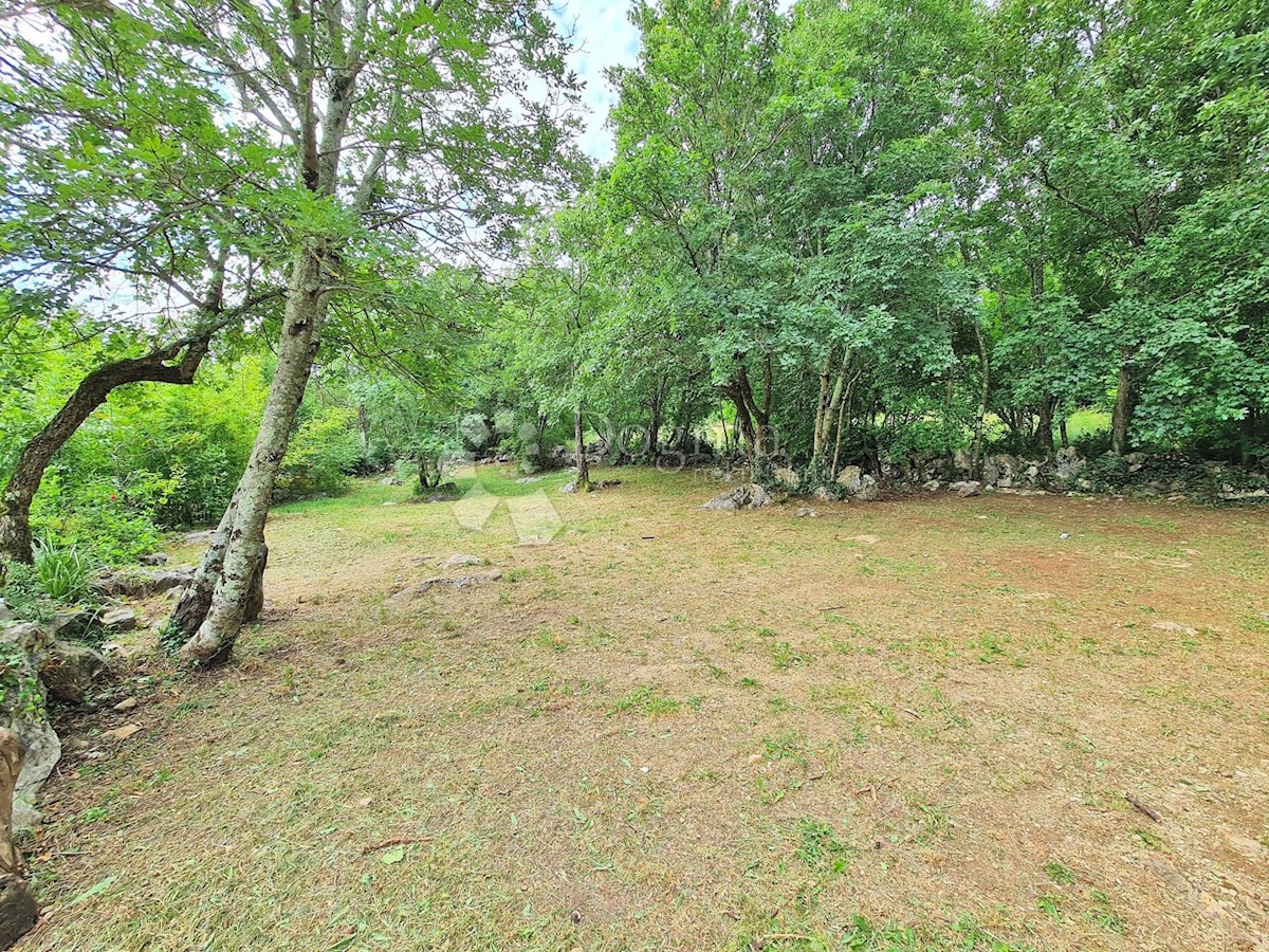 Hiša Hum, Buzet, 400m2