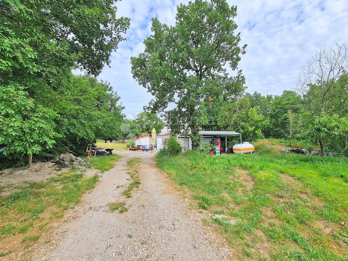 Hiša Hum, Buzet, 400m2