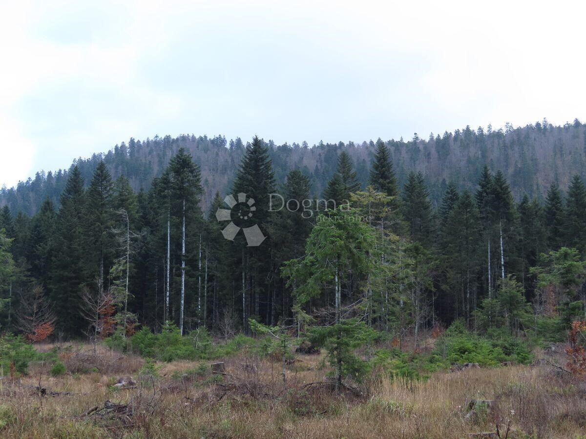 Zemljišče Čabar, 10.441m2