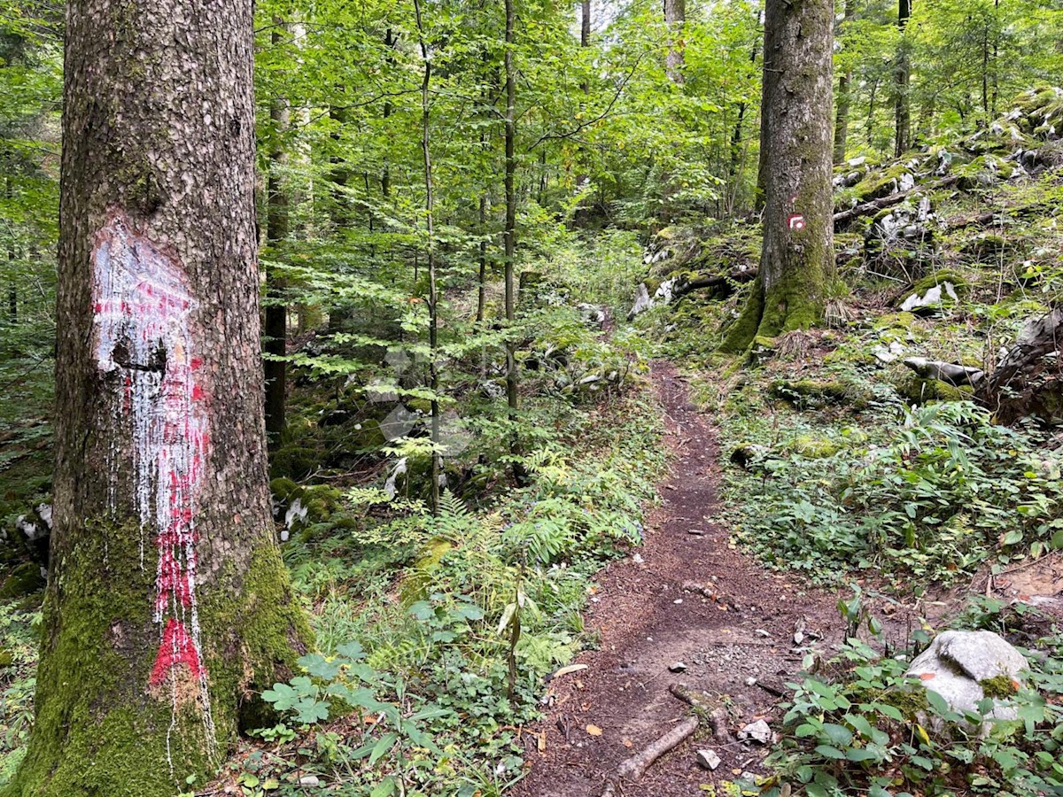 Zemljišče Čabar, 10.441m2