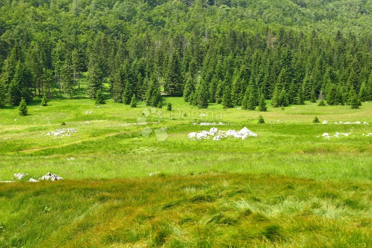 Zemljišče Čabar, 10.441m2
