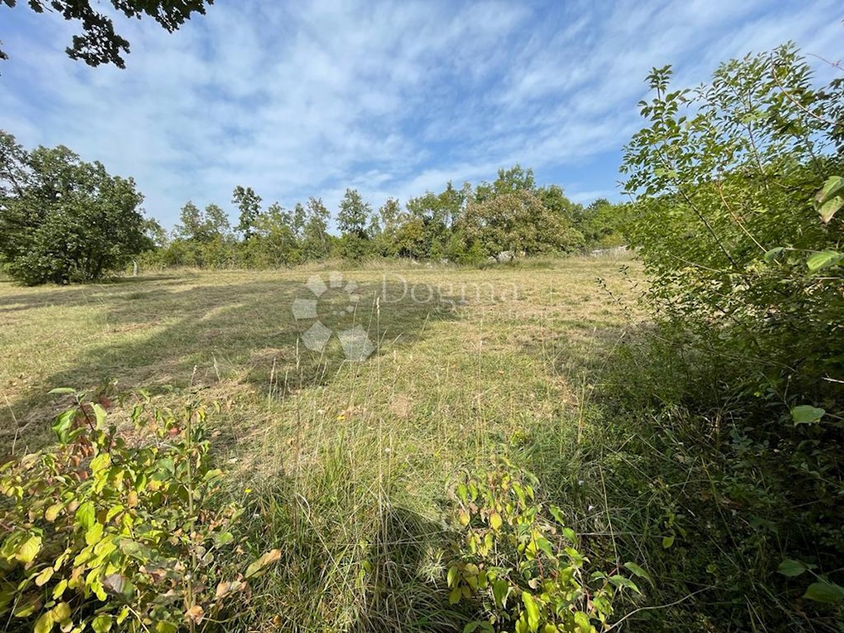 Zemljišče Šajini, Barban, 3.963m2