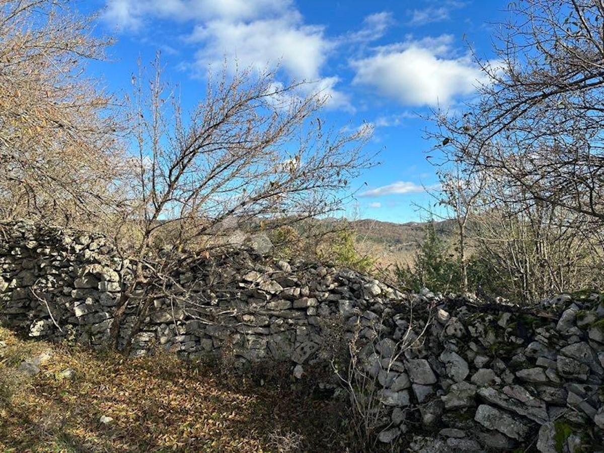 Hiša Donje Pazarište, Gospić - Okolica, 140m2