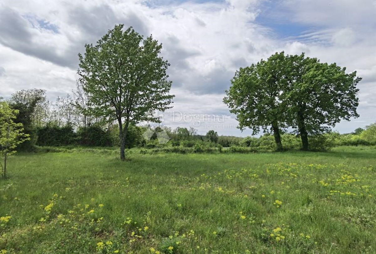 Zemljišče Sveti Ivan, Višnjan, 12.000m2