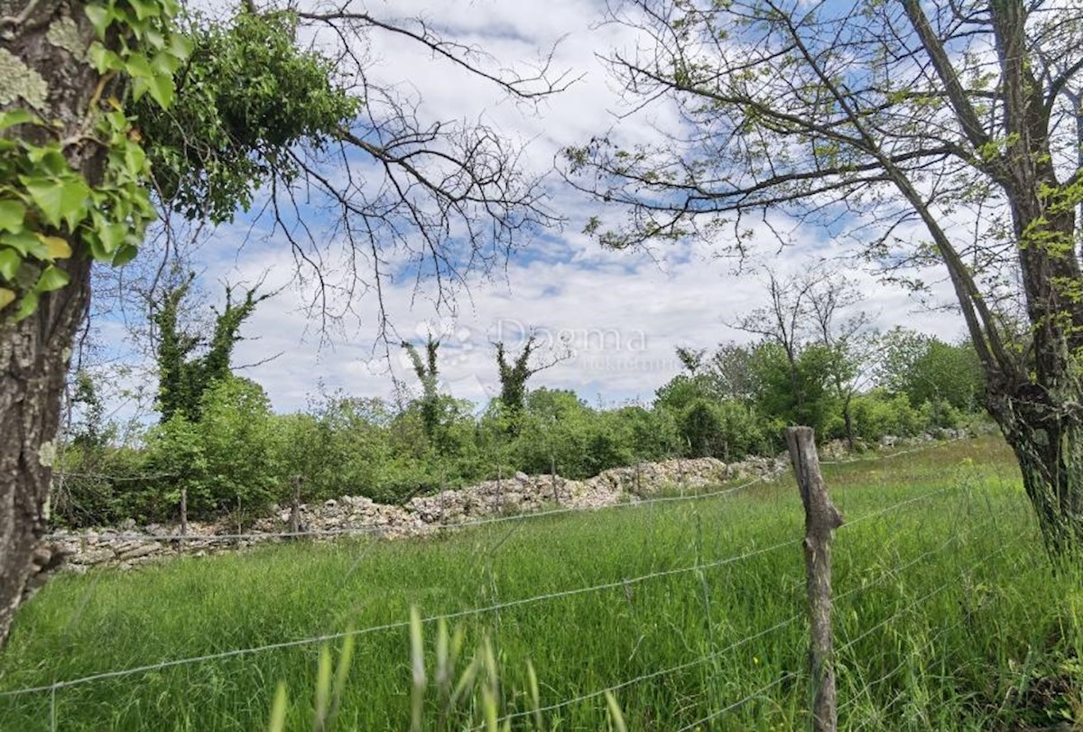 Zemljišče Sveti Ivan, Višnjan, 12.000m2