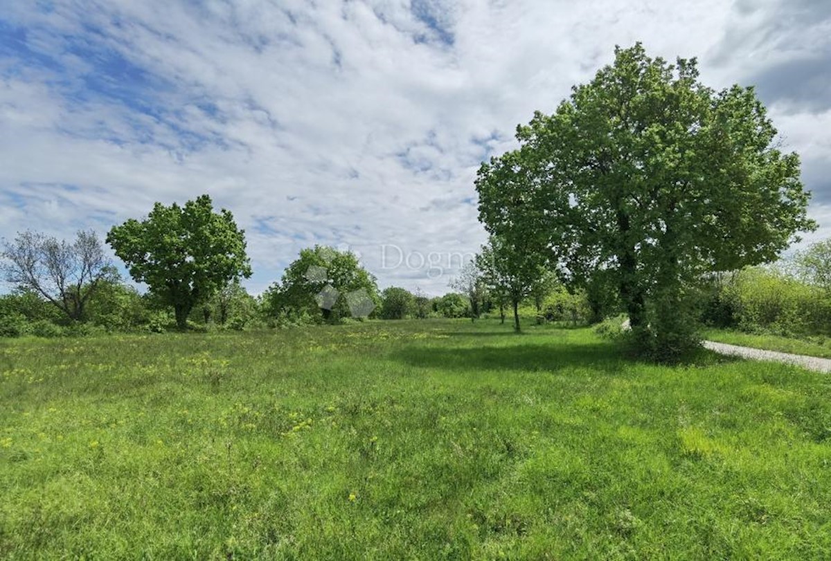 Zemljišče Sveti Ivan, Višnjan, 12.000m2