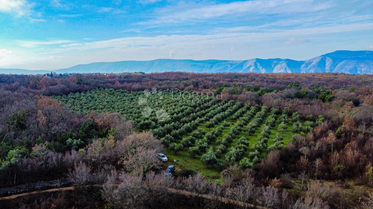 Zemljišče Milohnići, Krk, 24.399m2