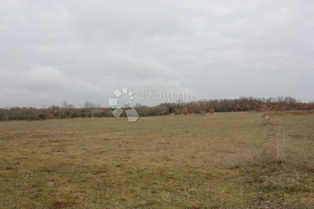 Zemljišče Barbariga, Vodnjan, 4.527m2