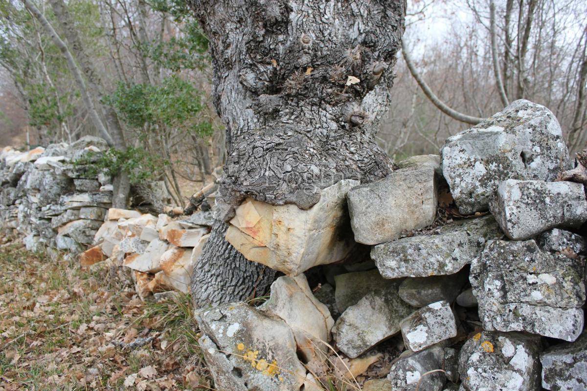 Zemljišče Barbariga, Vodnjan, 4.527m2