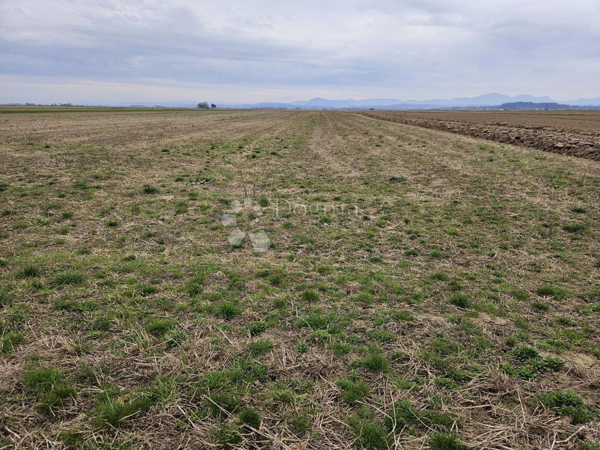 Zemljišče Donje Ladanje, Maruševec, 14.121m2