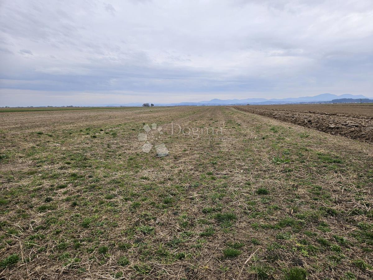 Zemljišče Donje Ladanje, Maruševec, 14.121m2