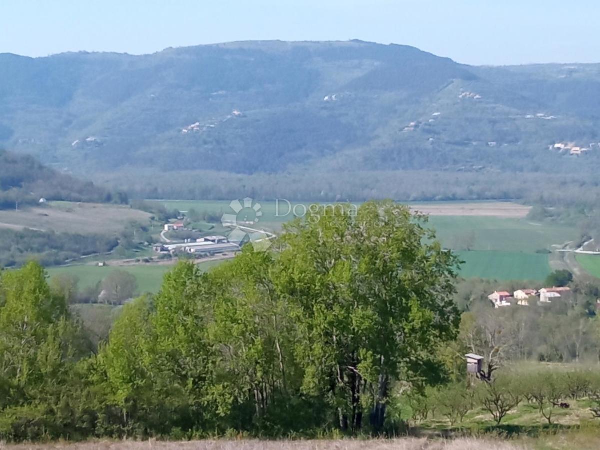 Zemljišče Kaldir, Motovun, 3.597m2